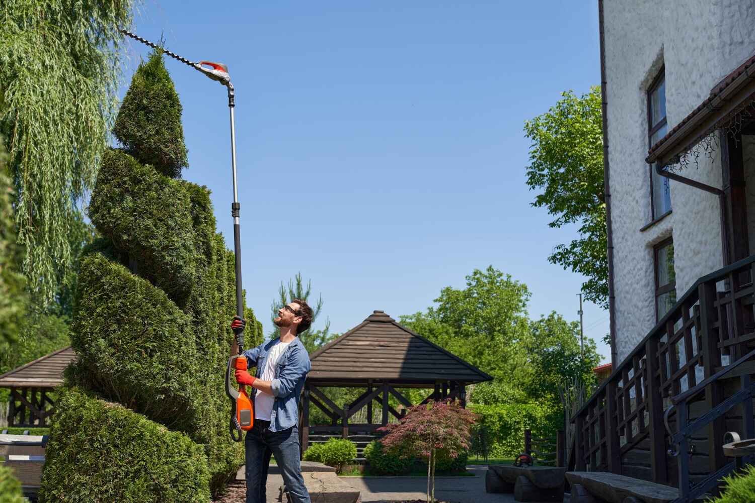 Best Best Tree Removal Services  in Northville, MI